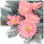 Główka 6szt Gerbera Róż