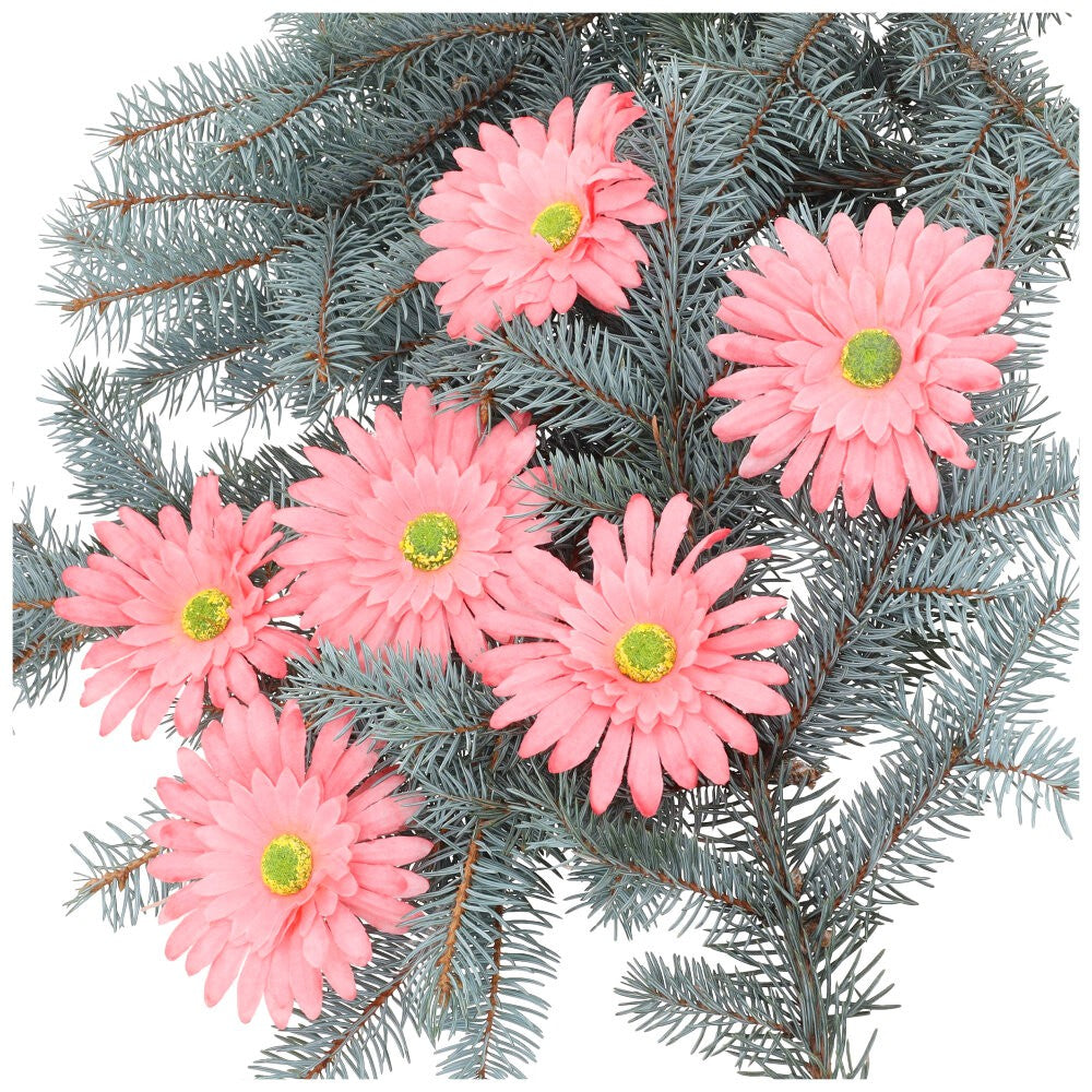 Główka 6szt Gerbera Róż