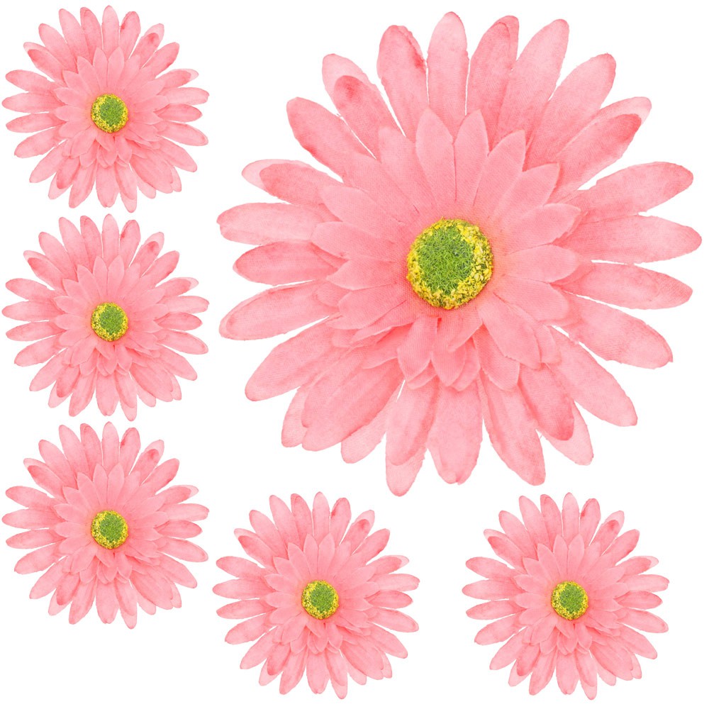 Główka 6szt Gerbera Róż
