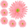 Główka 6szt Gerbera Róż