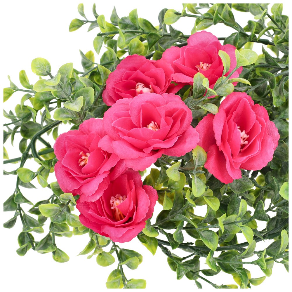 Główka 6szt Róża Amarant