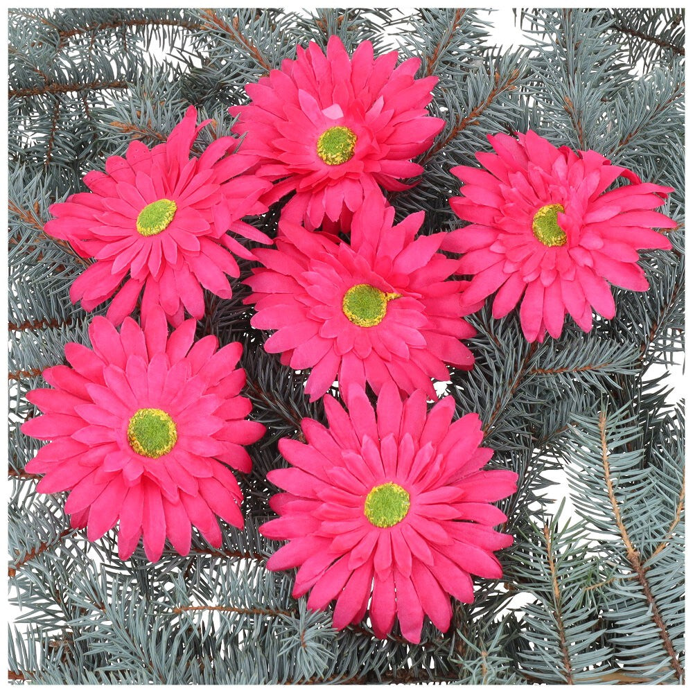 Główka Gerbera 6 szt Amarant