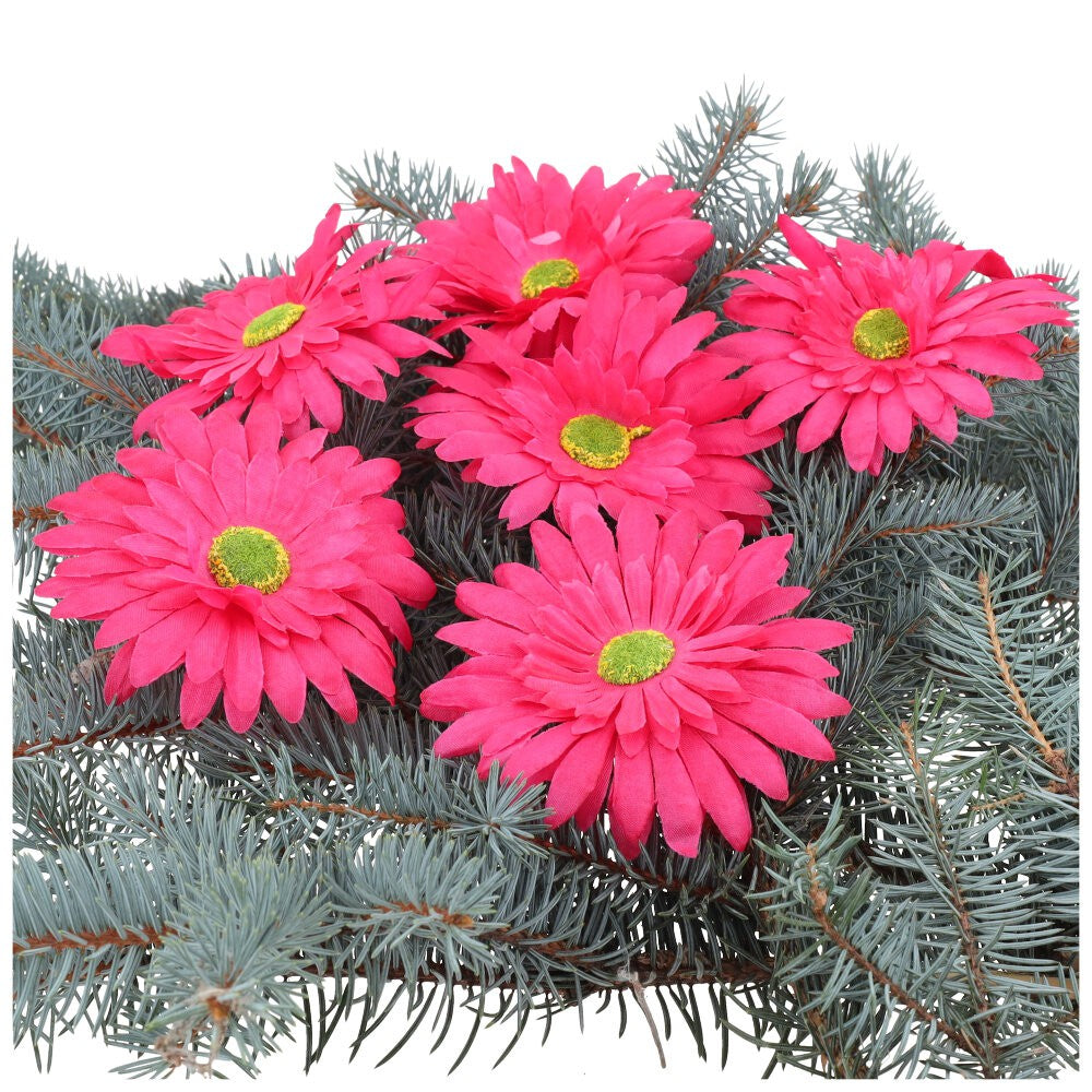Główka Gerbera 6 szt Amarant