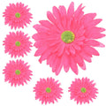 Główka Gerbera 6 szt Amarant