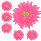 Główka Gerbera 6 szt Amarant