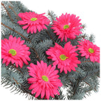 Główka Gerbera 6 szt Amarant
