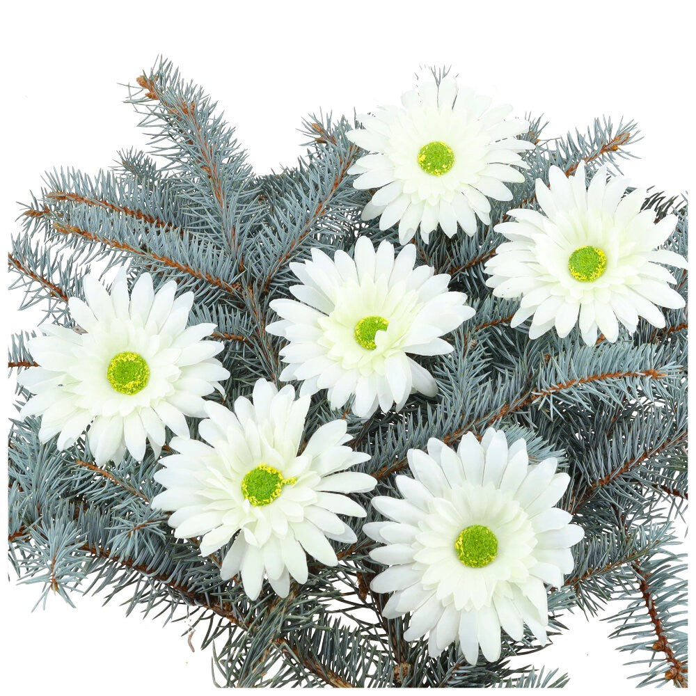 Główka Gerbera 6 szt Ecru