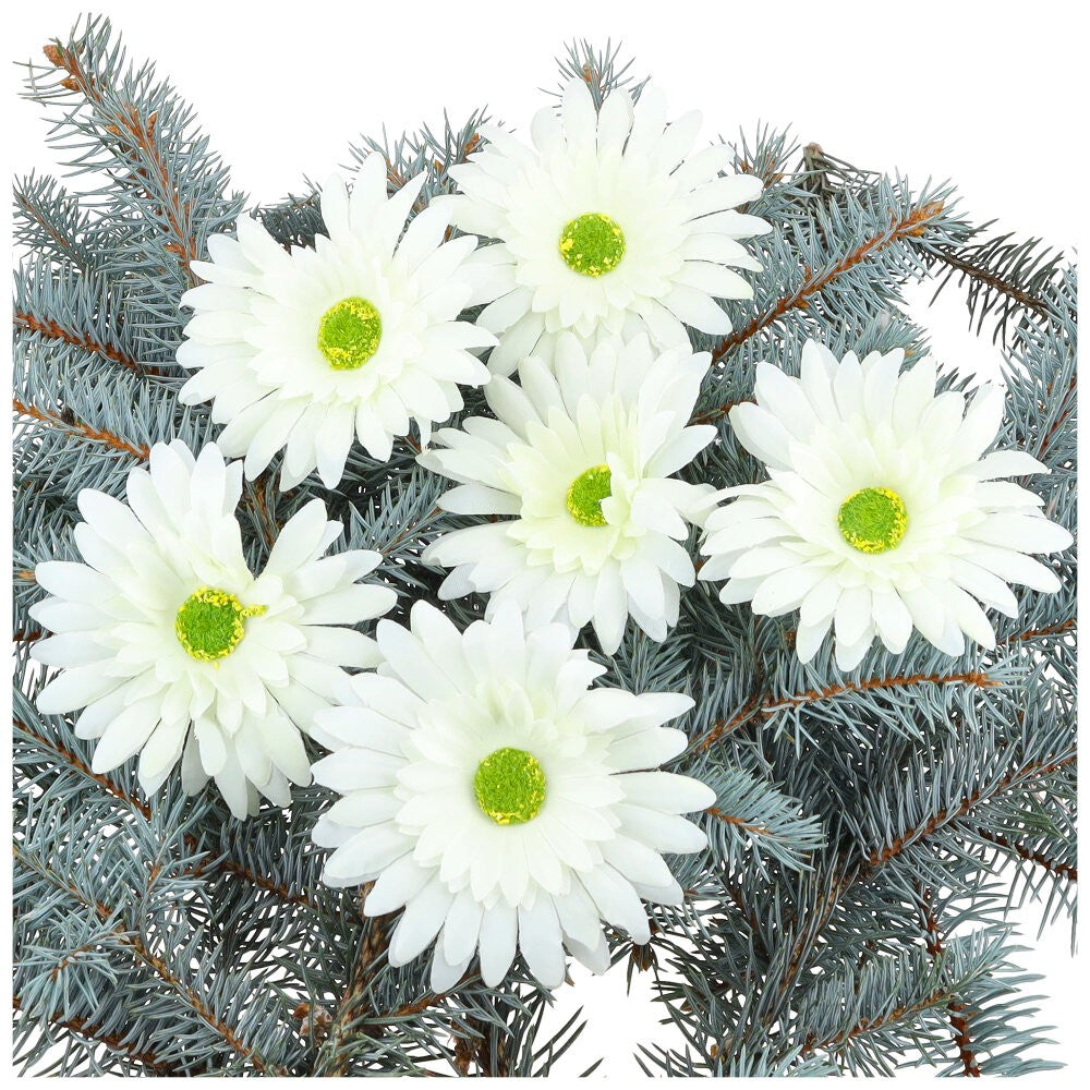 Główka Gerbera 6 szt Ecru