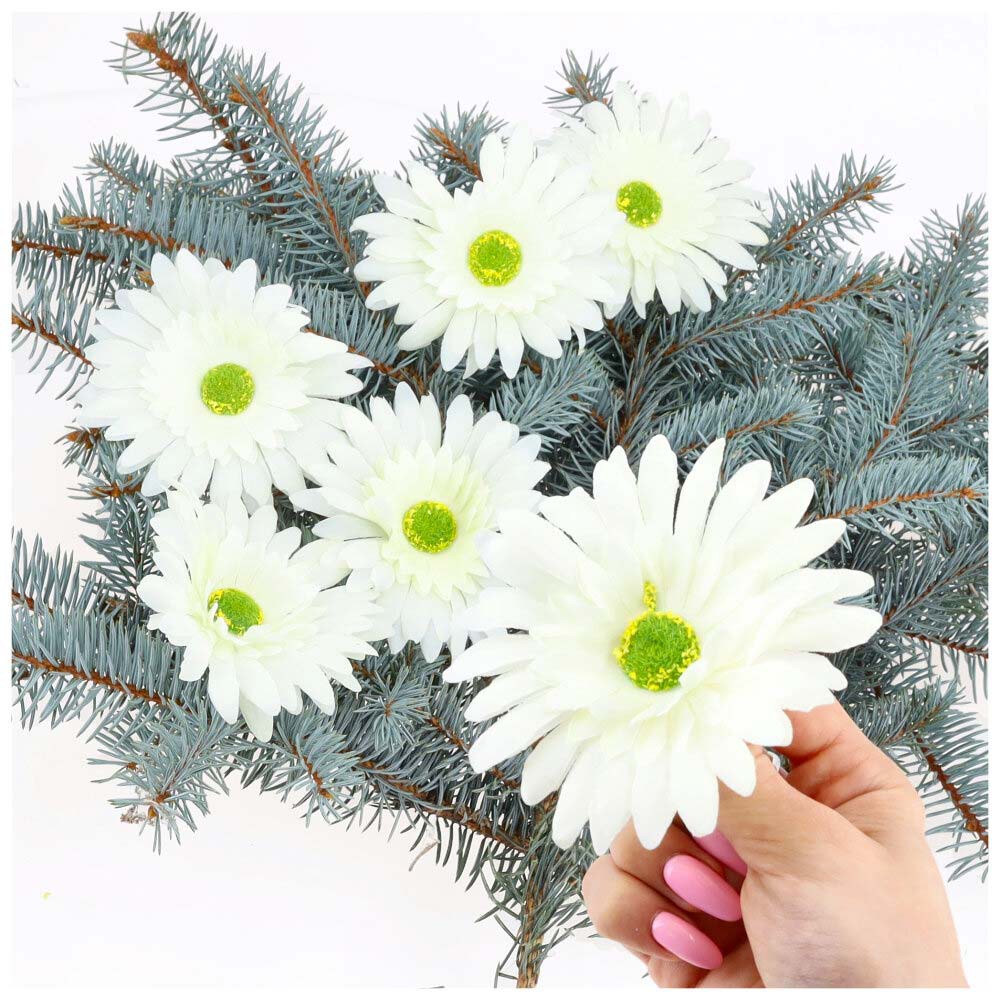 Główka Gerbera 6 szt Ecru