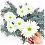Główka Gerbera 6 szt Ecru