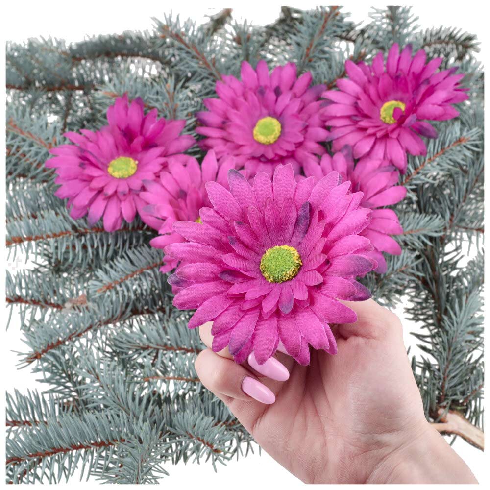 Główka Gerbera 6 szt Śliwka