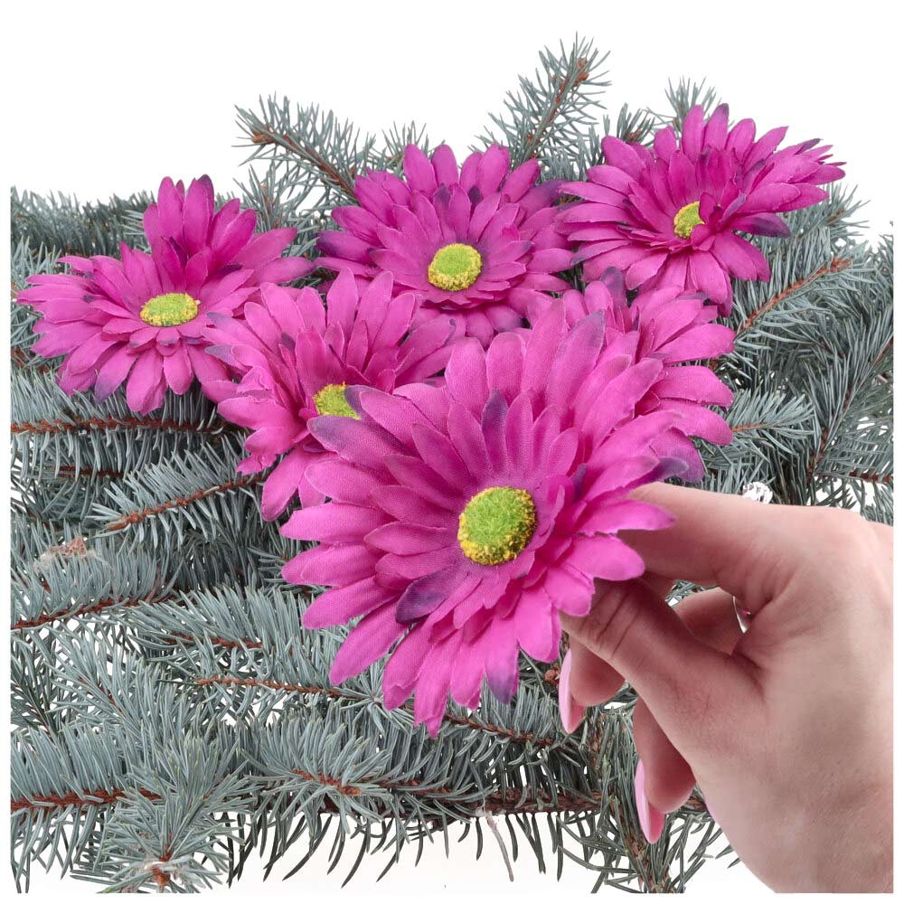 Główka Gerbera 6 szt Śliwka