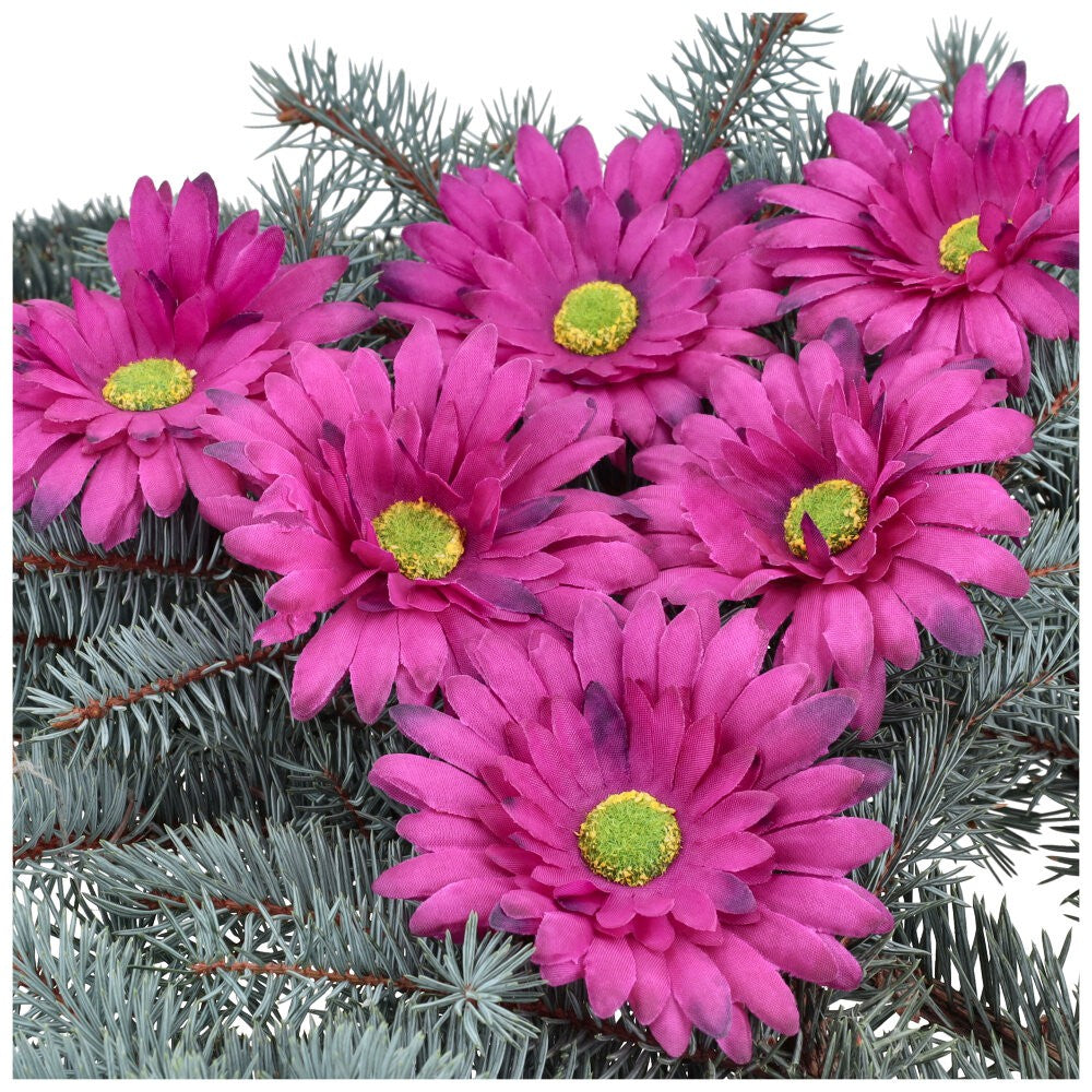 Główka Gerbera 6 szt Śliwka