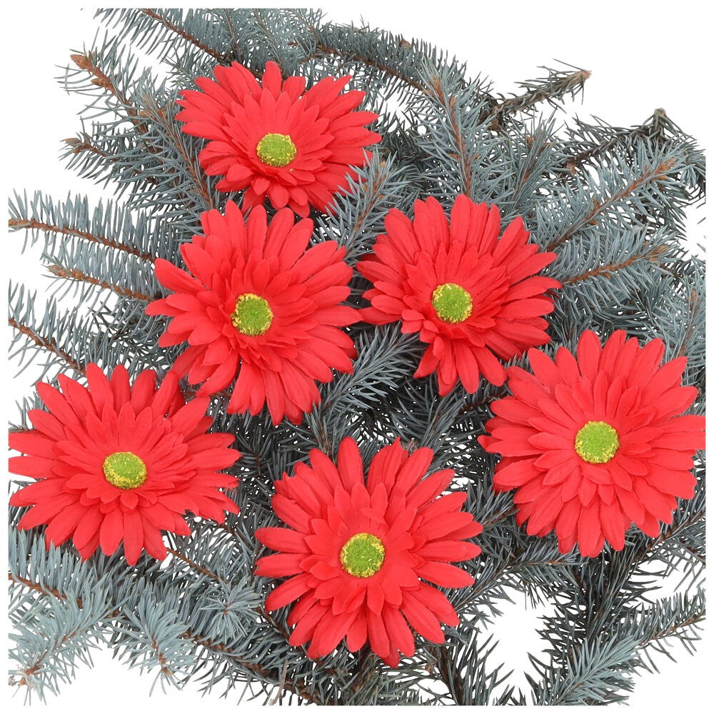 Główka Gerbera 6szt Czerwona