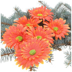 Główka Gerbera 6szt Pomarańcz