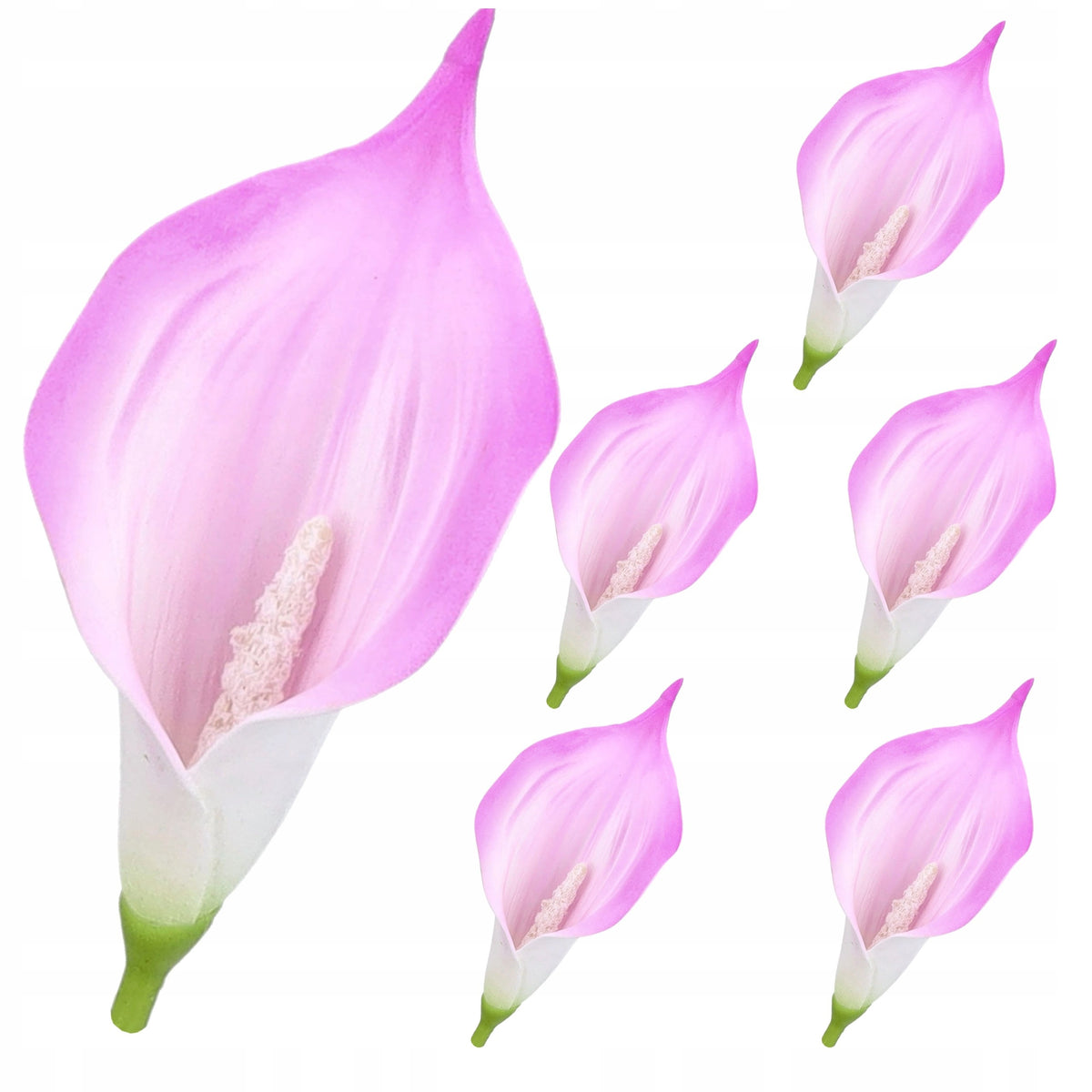 Główki Calla 6szt Amarant KR1941A