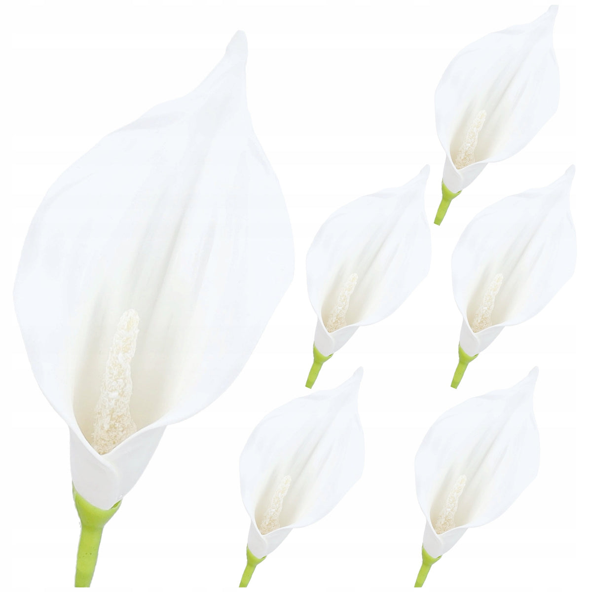 Główki Calla 6szt Ecru KR1941F