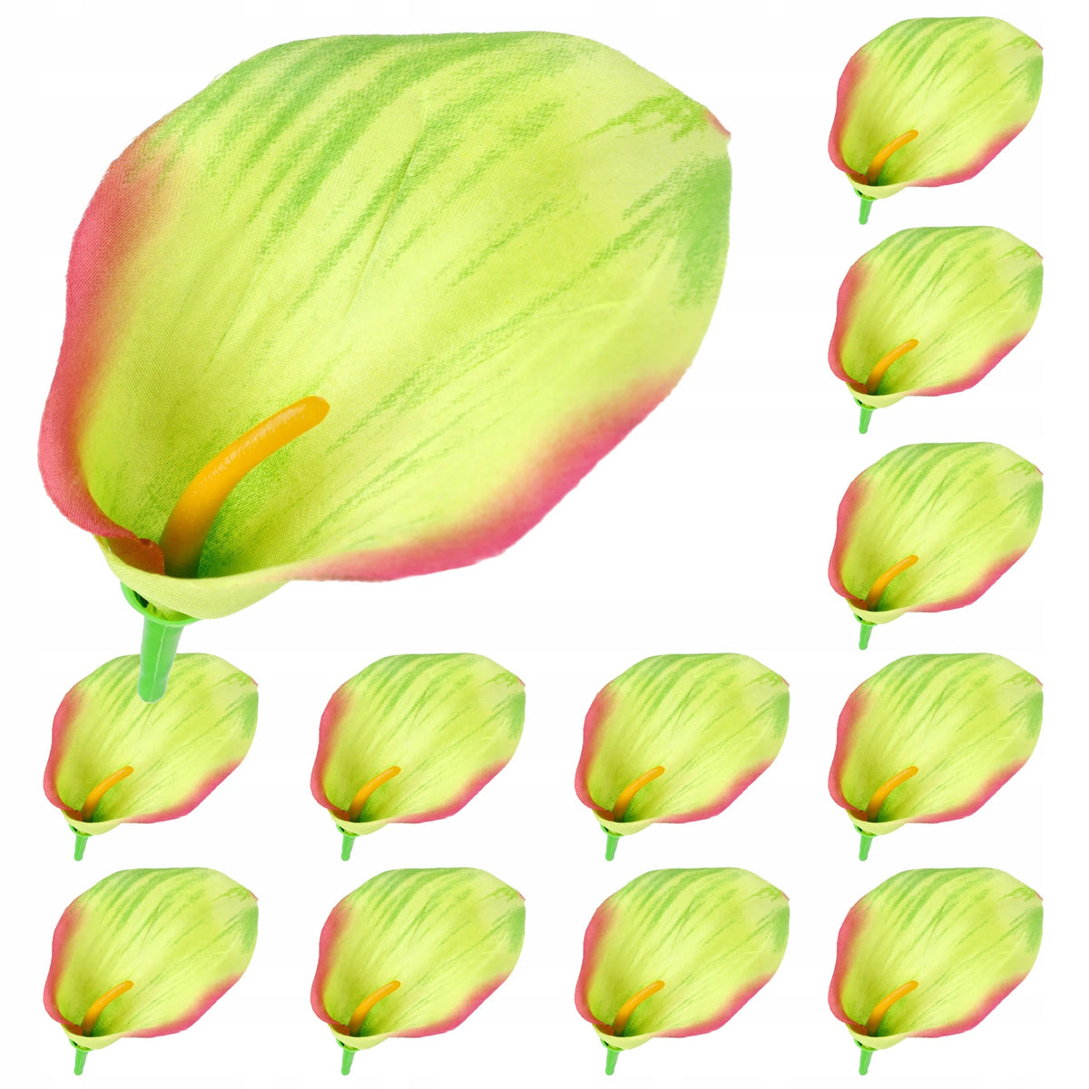Główki Kalia 12szt 9.5cm Pistacja KR1631B
