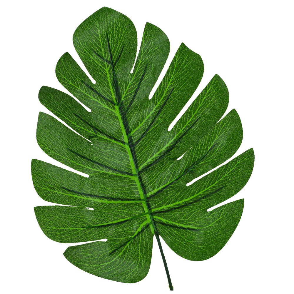 Liście Monstera 10szt