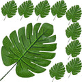 Liście Monstera 10szt