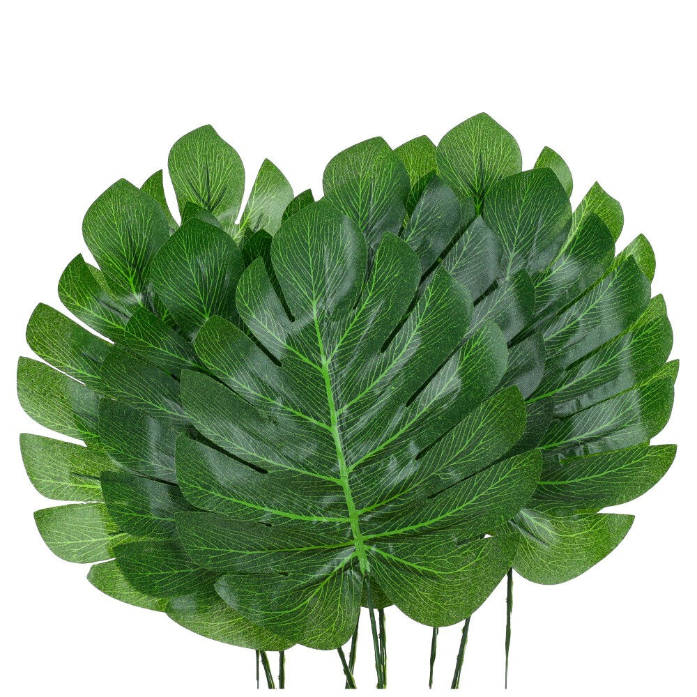 Liście Monstera 10szt