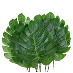 Liście Monstera 10szt