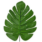 Liście Monstera 10szt