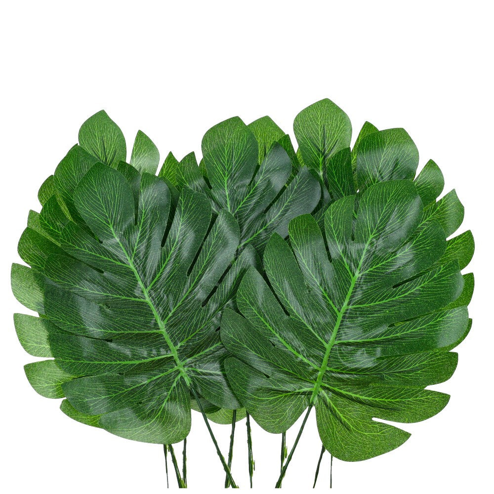 Liście Monstera 10szt