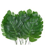 Liście Monstera 10szt