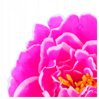 PEONIE PIWONIE KWIATY SZTUCZNE 6szt główki wyrobowe 12cm na STROIK BUKIET