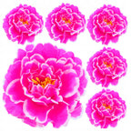 PEONIE PIWONIE KWIATY SZTUCZNE 6szt główki wyrobowe 12cm na STROIK BUKIET