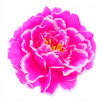 PEONIE PIWONIE KWIATY SZTUCZNE 6szt główki wyrobowe 12cm na STROIK BUKIET