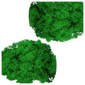 Zestaw Mech Ciemna Zieleń 30g - 2 opak.
